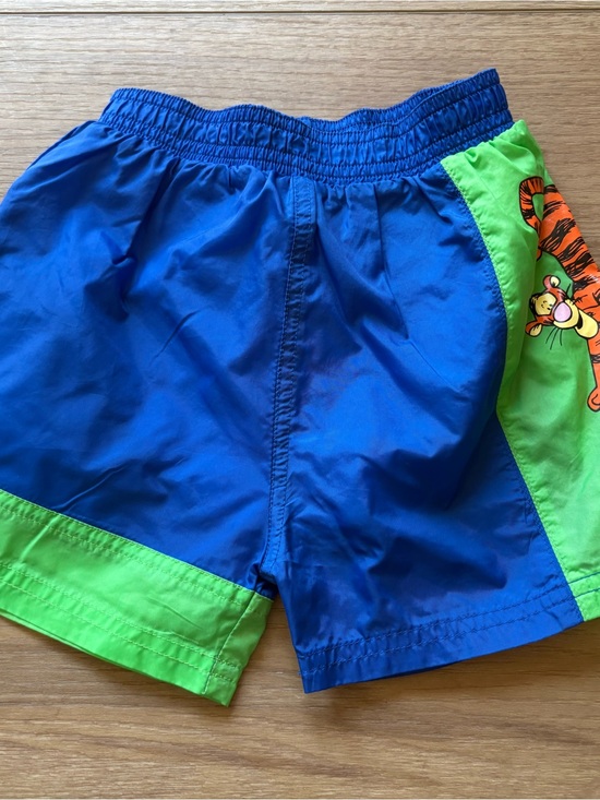 Winnie-the-Pooh Other - Blue and Green Kids Swim Trunks with Tigger Graphic